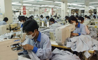 越南鞋业出口下半年有望实现大幅增长